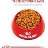 Royal Canin Feline Health Nutrition Indoor Adult Dry Cat Food, 3 lb Bag(3 Pound (Pack of 1))