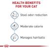 Royal Canin Feline Health Nutrition Indoor Adult Dry Cat Food, 3 lb Bag(3 Pound (Pack of 1))
