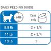 Royal Canin Feline Health Nutrition Indoor Adult Morsels in Gravy Cat Food, 3 oz (Pack of 12)(3 Ounce (Pack of 12))