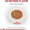 Royal Canin Feline Health Nutrition Indoor Adult Morsels in Gravy Cat Food, 3 oz (Pack of 12)(3 Ounce (Pack of 24))