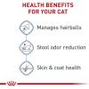 Royal Canin Feline Health Nutrition Indoor Long Hair Adult Dry Cat Food, 6 lb Bag(6 Pound (Pack of 1))