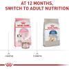 Royal Canin Feline Health Nutrition Indoor Long Hair Adult Dry Cat Food, 6 lb Bag(6 Pound (Pack of 1))