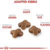 Royal Canin Feline Health Nutrition Kitten Dry Cat Food, 7 lb Bag(3 Pound (Pack of 1))