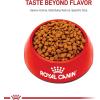 Royal Canin Feline Health Nutrition Kitten Dry Cat Food, 7 lb Bag(7 Pound (Pack of 1))