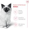 Royal Canin Feline Health Nutrition Kitten Dry Cat Food, 7 lb Bag(7 Pound (Pack of 1))