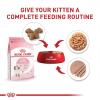 Royal Canin Feline Health Nutrition Kitten Thin Slices in Gravy Cat Food, 3 oz (Pack of 24)(1 Count (Pack of 12))