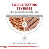 Royal Canin Feline Health Nutrition Kitten Thin Slices in Gravy Cat Food, 3 oz (Pack of 24)(1 Count (Pack of 12))