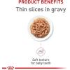 Royal Canin Feline Health Nutrition Kitten Thin Slices in Gravy Cat Food, 3 oz (Pack of 24)(3 Ounce (Pack of 18))
