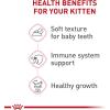 Royal Canin Feline Health Nutrition Kitten Thin Slices in Gravy Cat Food, 3 oz (Pack of 24)(3 Ounce (Pack of 18))