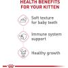 Royal Canin Feline Health Nutrition Kitten Thin Slices in Gravy Cat Food, 3 oz (Pack of 24)(3 Ounce (Pack of 24))
