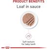 Royal Canin Feline Health Nutrition Kitten Thin Slices in Gravy Cat Food, 3 oz (Pack of 24)(3 Ounce (Pack of 24))