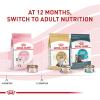 Royal Canin Feline Health Nutrition Kitten Thin Slices in Gravy Cat Food, 3 oz (Pack of 24)(3 Ounce (Pack of 24))
