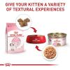 Royal Canin Feline Health Nutrition Kitten Thin Slices in Gravy Cat Food, 3 oz (Pack of 24)(3 Ounce (Pack of 6))