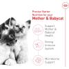 Royal Canin Feline Health Nutrition Mother & Babycat Dry Cat Food, 3 lb Bag(3 Pound (Pack of 1))