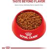 Royal Canin Feline Health Nutrition Mother & Babycat Dry Cat Food, 3 lb Bag(3 Pound (Pack of 1))