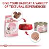 Royal Canin Feline Health Nutrition Mother & Babycat Dry Cat Food, 3 lb Bag(6 Pound (Pack of 1))