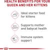 Royal Canin Feline Health Nutrition Mother & Babycat Ultra Soft Mousse in Sauce Canned Cat Food, 3 oz can (12-count)(Chicken)