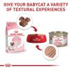 Royal Canin Feline Health Nutrition Mother & Babycat Ultra Soft Mousse in Sauce Canned Cat Food, 3 oz can (12-count)(Milk)