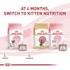 Royal Canin Feline Health Nutrition Mother & Babycat Ultra Soft Mousse in Sauce Canned Cat Food, 3 oz can (12-count)(Milk)