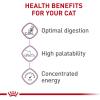 Royal Canin Feline Health Nutrition Sensitive Digestion Adult Dry Cat Food, 7 lb Bag(15 Pound (Pack of 1))