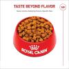Royal Canin German Shepherd Adult Dry Dog Food, 17 lb bag(17 Pound (Pack of 1))