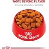 Royal Canin Golden Retriever Loaf in Sauce Canned Dog Food, 13.5 oz can (12-count)(17 Pound (Pack of 1))