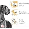 Royal Canin Great Dane Adult Dry Dog Food, 30 lb bag