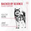 Royal Canin Joint Dog Supplement Soft Chews for Adult Dogs, 60 Count