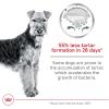 Royal Canin Large Dog Dental Care Dry Dog Food, 30 lb bag(Medium)