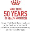 Royal Canin Large Dog Dental Care Dry Dog Food, 30 lb bag(Small)