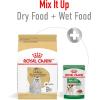 Royal Canin Maltese Adult Dry Dog Food, 10 lb bag(10 Pound (Pack of 1))