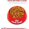 Royal Canin Maltese Adult Dry Dog Food, 10 lb bag(2.5 Pound (Pack of 1))