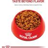 Royal Canin Medium Digestive Care Dry Dog Food, 17 lb bag(17 Pound (Pack of 1))