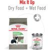Royal Canin Medium Digestive Care Dry Dog Food, 17 lb bag(30 Pound (Pack of 1))