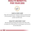 Royal Canin Medium Sensitive Skin Care Dry Dog Food, 6 lb bag