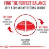 Royal Canin Medium Weight Care Adult Dry Dog Food for Medium Breeds, 30 lb bag(17 Pound (Pack of 1))