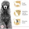 Royal Canin Poodle Adult Breed Specific Wet Dog Food, 3 oz can 4-pack(10 Pound (Pack of 1))