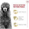 Royal Canin Poodle Adult Breed Specific Wet Dog Food, 3 oz can 4-pack(2.5 Pound (Pack of 1))