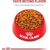 Royal Canin Poodle Adult Breed Specific Wet Dog Food, 3 oz can 4-pack(2.5 Pound (Pack of 1))