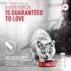 Royal Canin Probiotics for Cats Digestive and Immune Health Powder Supplement for Cats of All Ages, 30 Count(7 count)
