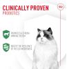 Royal Canin Probiotics for Cats Digestive and Immune Health Powder Supplement for Cats of All Ages, 30 Count(7 count)