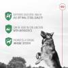Royal Canin Probiotics for Dogs Digestive and Immune Health Powder Supplement for Dogs of All Ages, 30 Count(30 count)