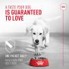 Royal Canin Probiotics for Dogs Digestive and Immune Health Powder Supplement for Dogs of All Ages, 30 Count(30 count)