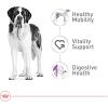 Royal Canin Size Health Nutrition Giant Adult Dry Dog Food, 30 lb Bag(30 Pound (Pack of 1))