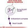Royal Canin Size Health Nutrition Giant Adult Dry Dog Food, 30 lb Bag(35 Pound (Pack of 1))