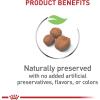 Royal Canin Size Health Nutrition Giant Puppy Dry Dog Food, 30 lb Bag