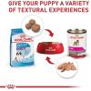 Royal Canin Size Health Nutrition Giant Puppy Dry Dog Food, 30 lb Bag