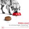 Royal Canin Size Health Nutrition Large 5+ Mature Dry Dog Food, 30 lb Bag(30 Pound (Pack of 1))