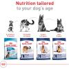 Royal Canin Size Health Nutrition Large Adult Dry Dog Food, 17 lb Bag(30 Pound (Pack of 1))