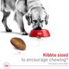 Royal Canin Size Health Nutrition Large Adult Dry Dog Food, 17 lb Bag(4 Pound (Pack of 1))